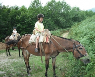  Reiten in die 64